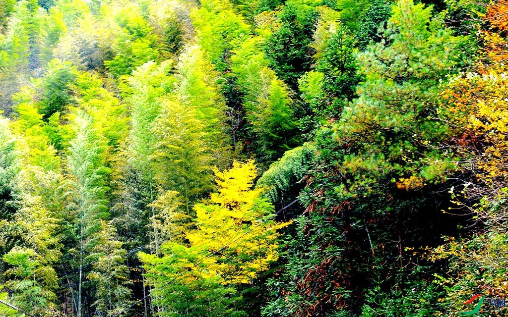 200 (251)_����_����.jpg