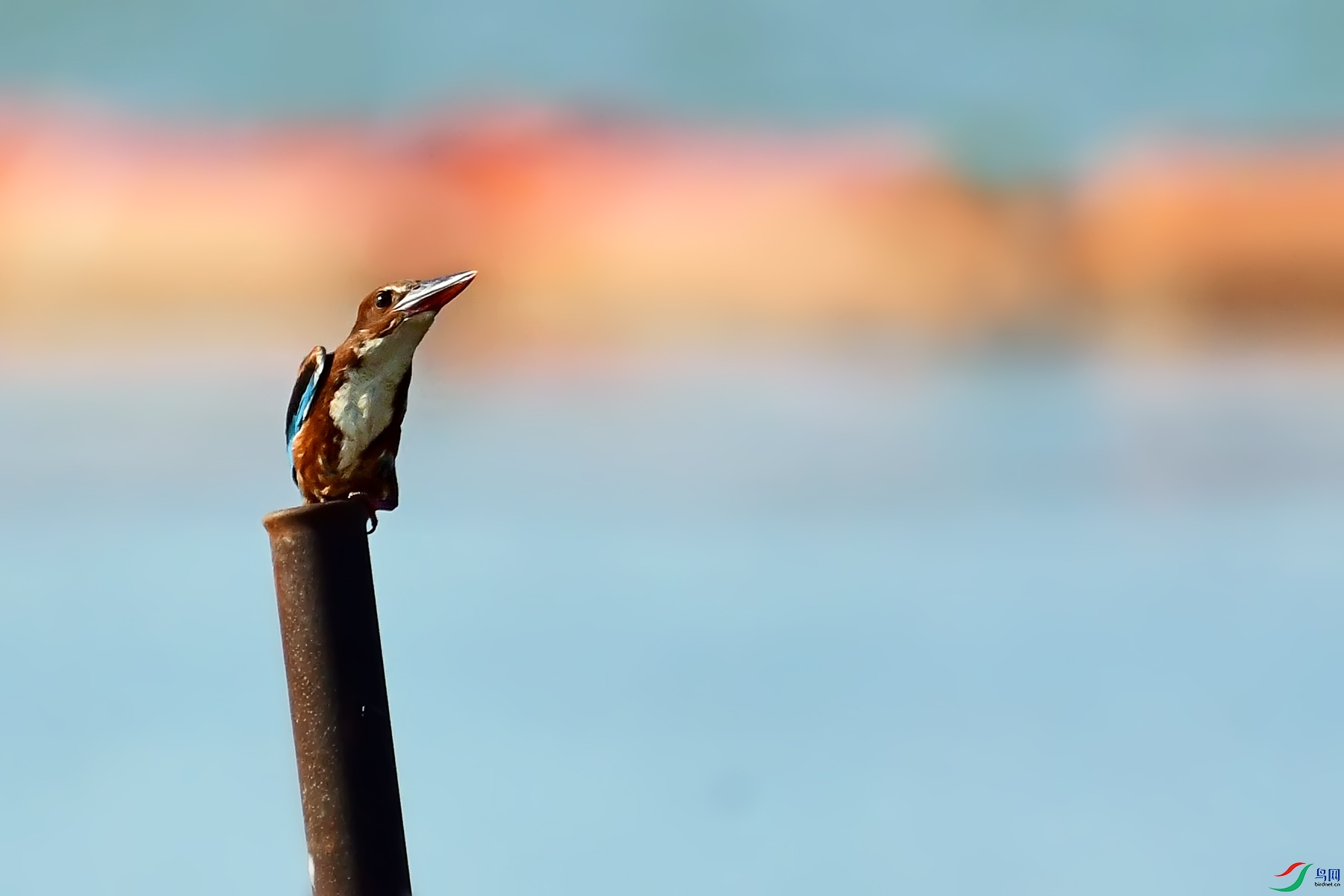 DSC_2407.jpg