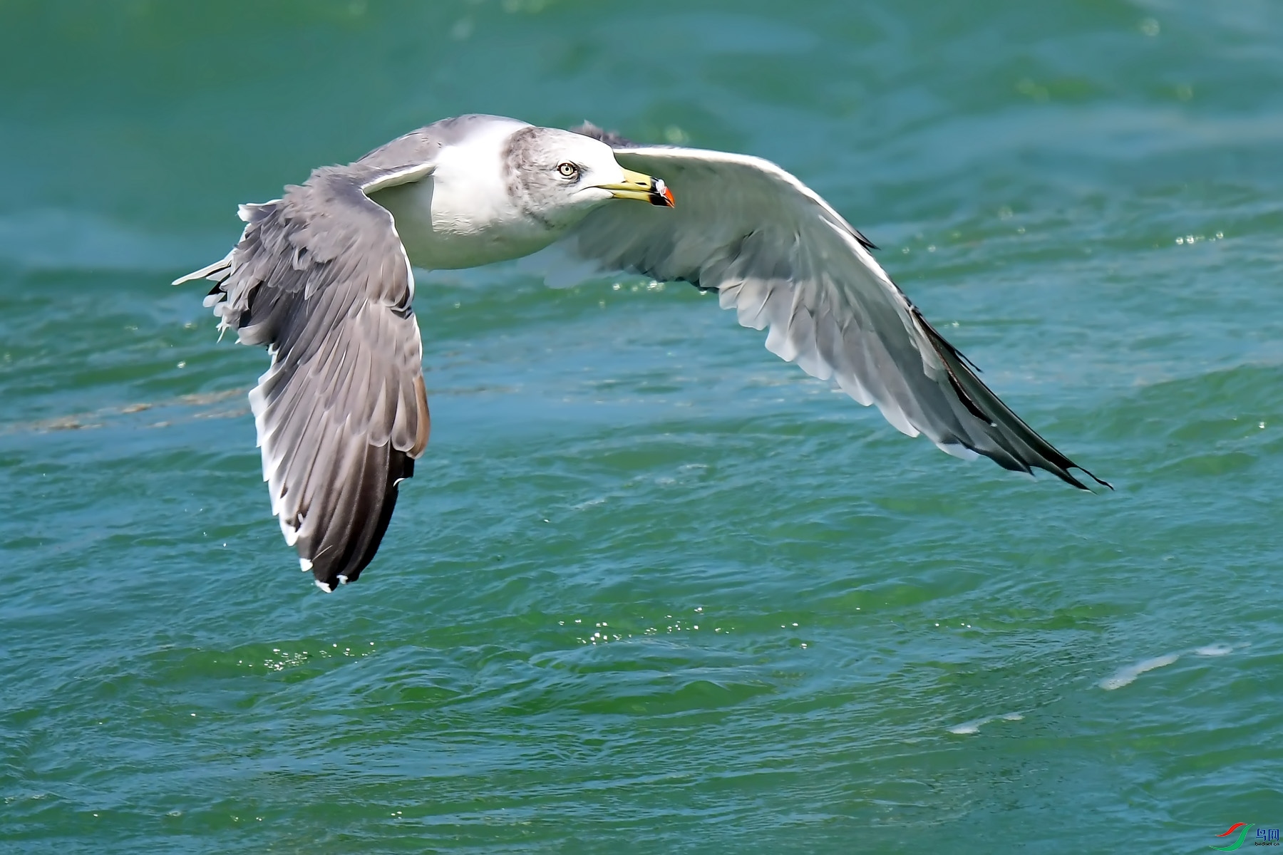 DSC_0251.jpg