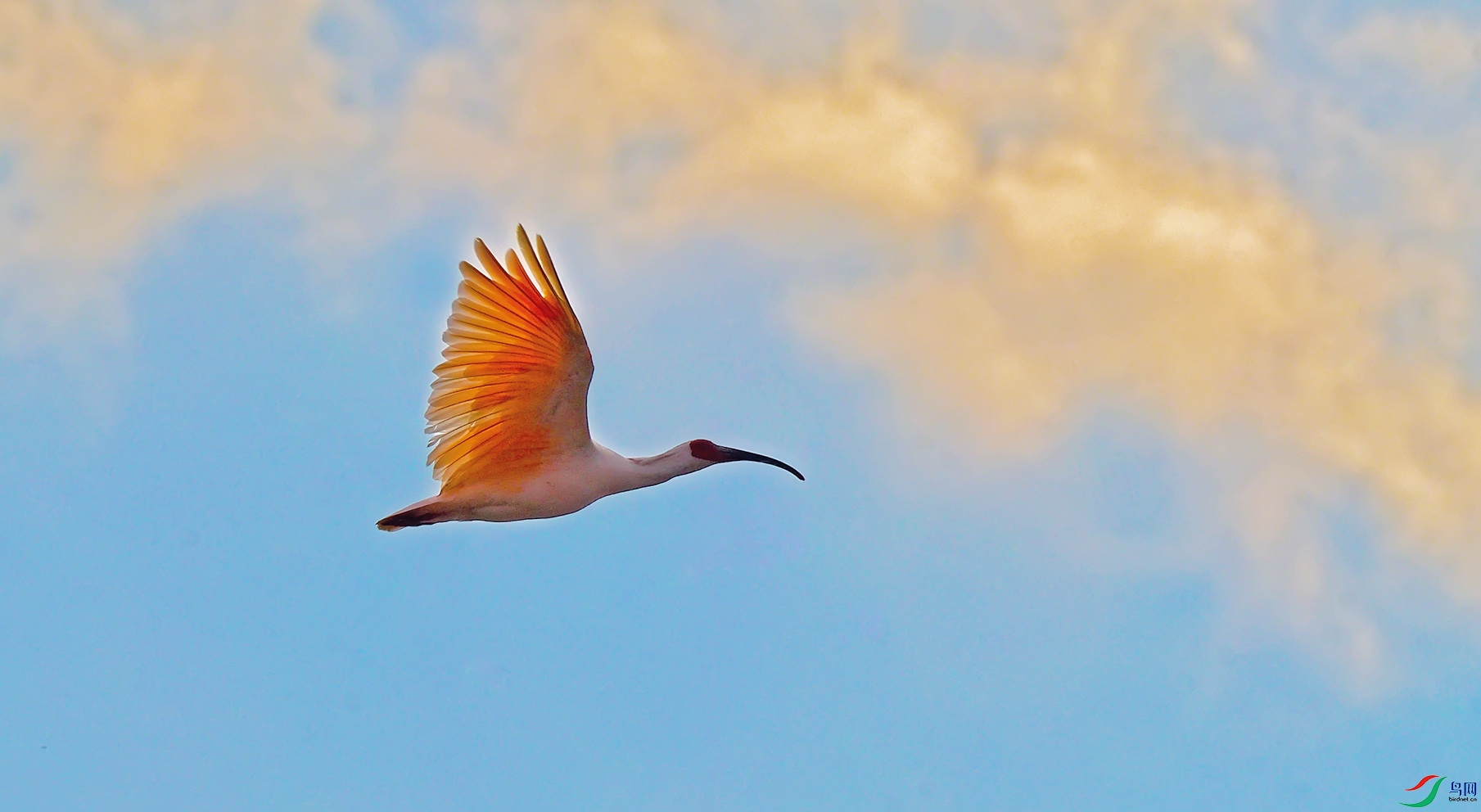 DSC_9255a_����.jpg