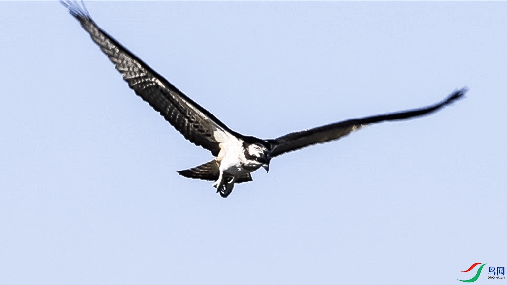 ���� 14.00_00_25_10.Still019����.jpg