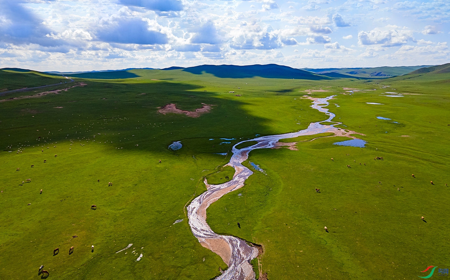 DJI_0505.jpg