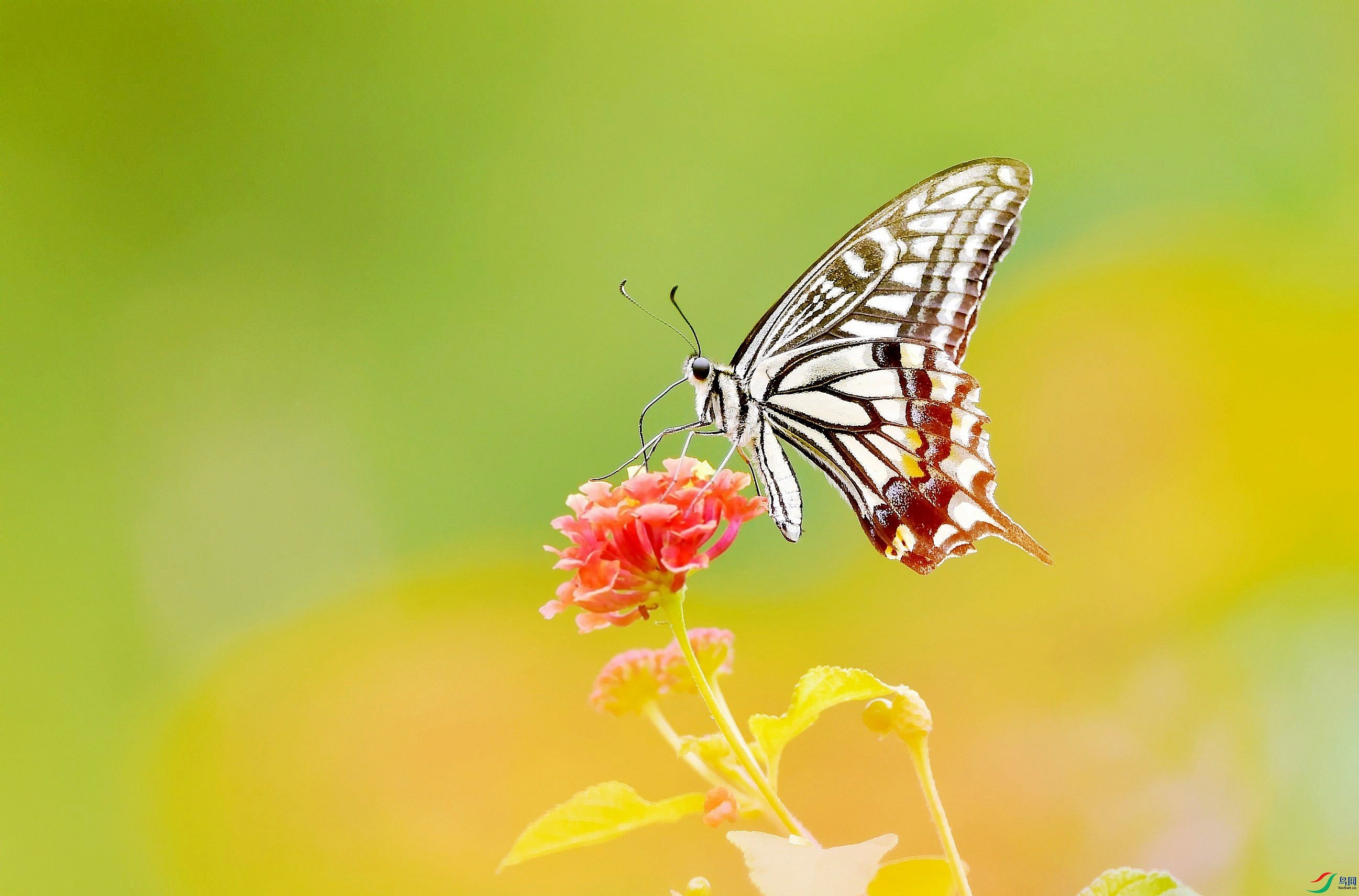 DSC_7873_conew4.jpg