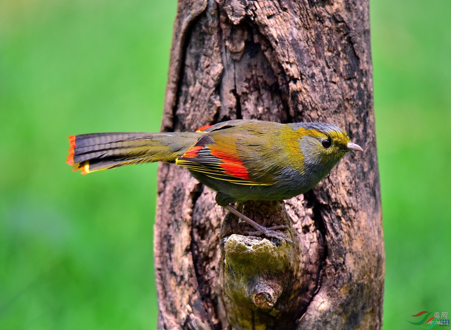 ����ũ��  ��ʦ����������ʡ��ͨ��.jpg