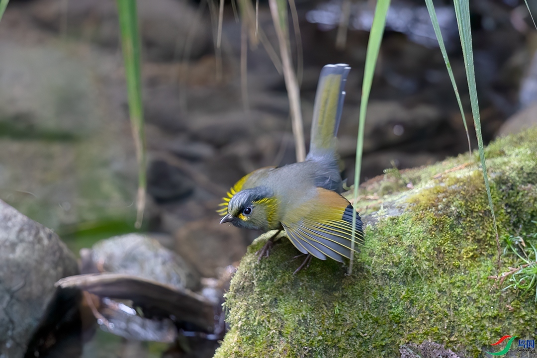 ��������  ��ʦ������̨����.jpg