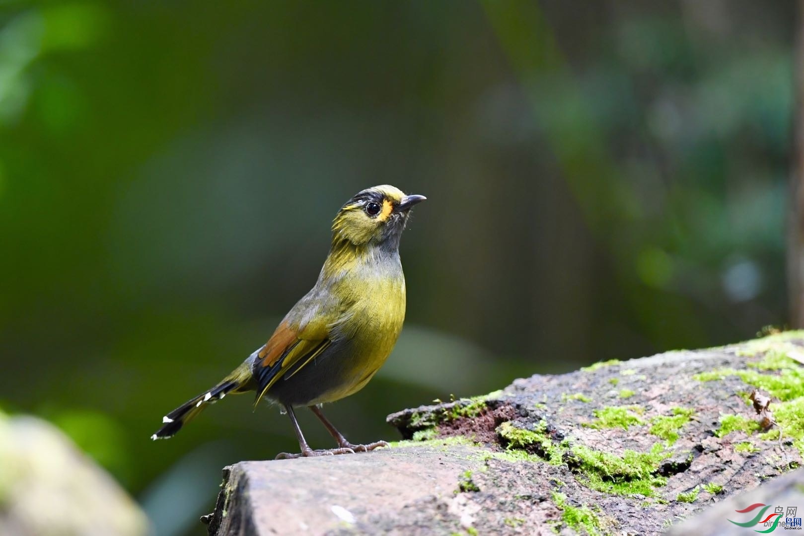 �����  ��ʦ������̨�������.jpg