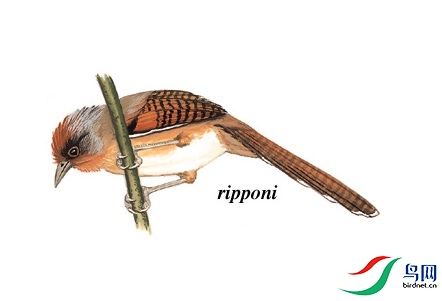 �ޱ���.jpg