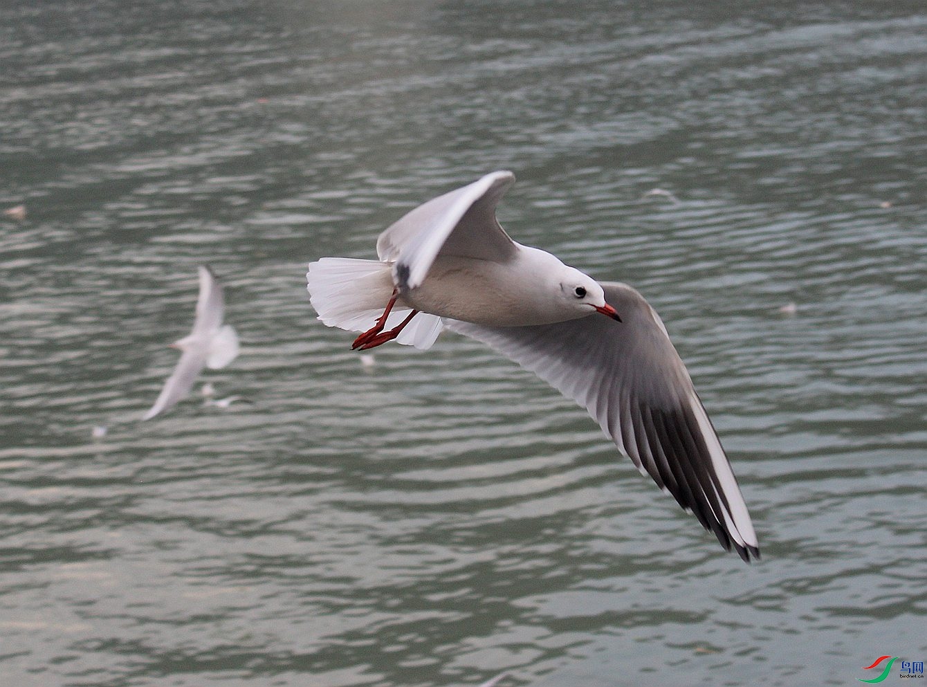 IMG_0115.JPG