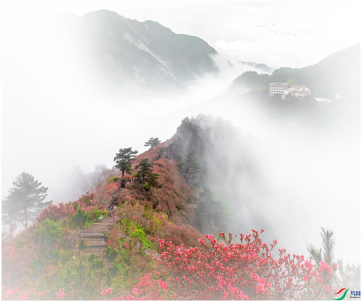 DSC_6754SSSSS    .jpg