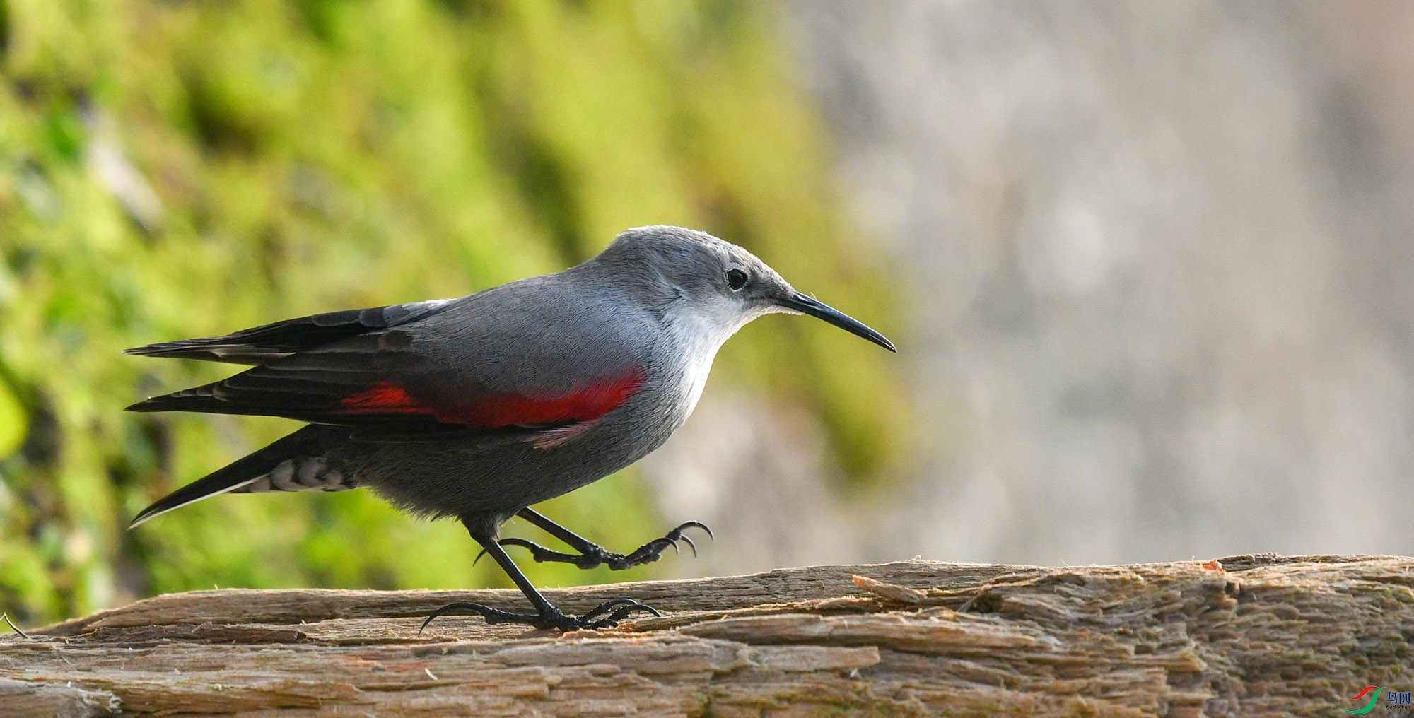DSC_1328.JPG