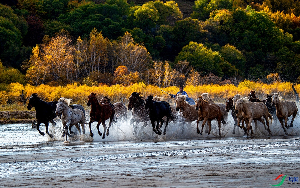 ��Ⱦ��̫��