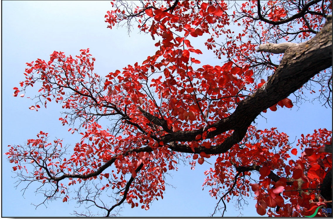 BG3A3701_����_����1.jpg