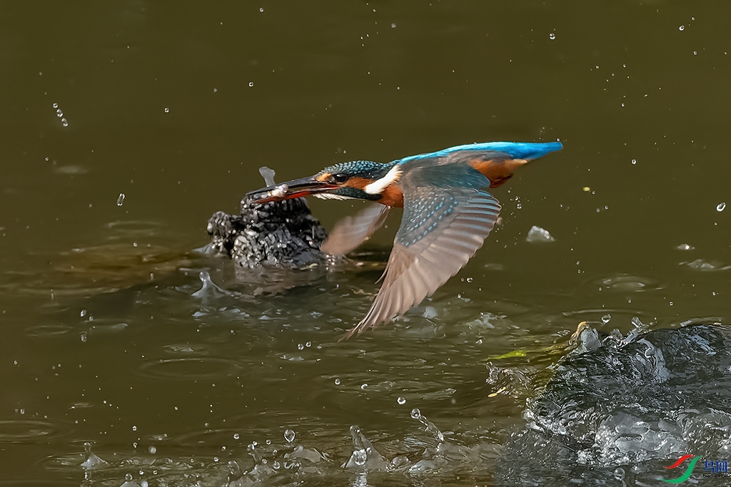 DSC_0042_DxOa.jpg