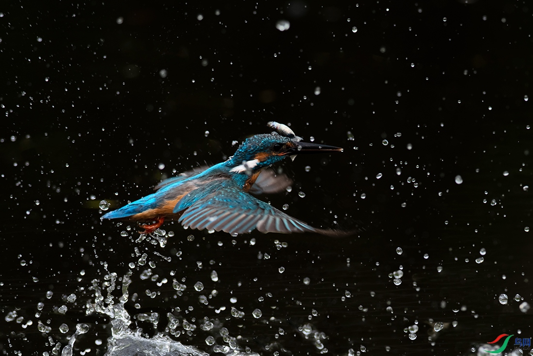 DSC_0654_DxOa.jpg