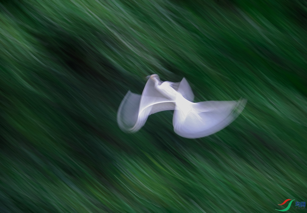 AH6I4225 - ����.JPG