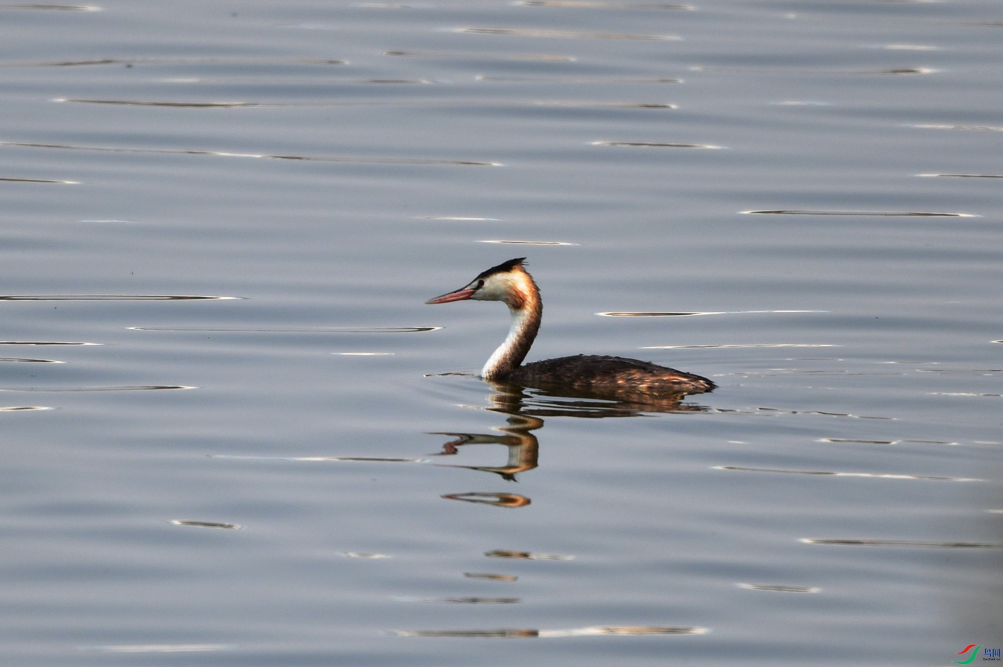 DSC_8797.jpg