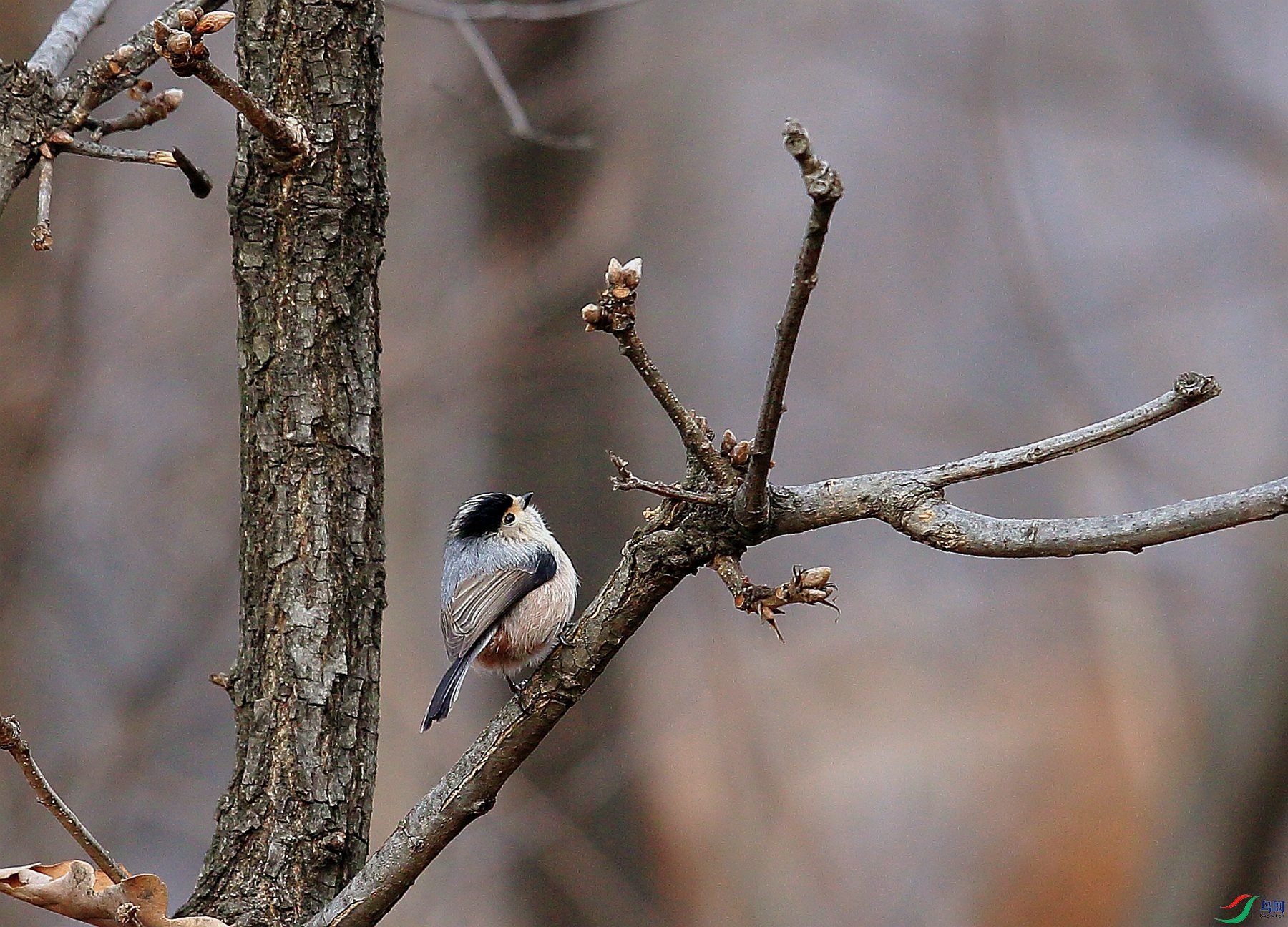 _Y5A7525.JPG