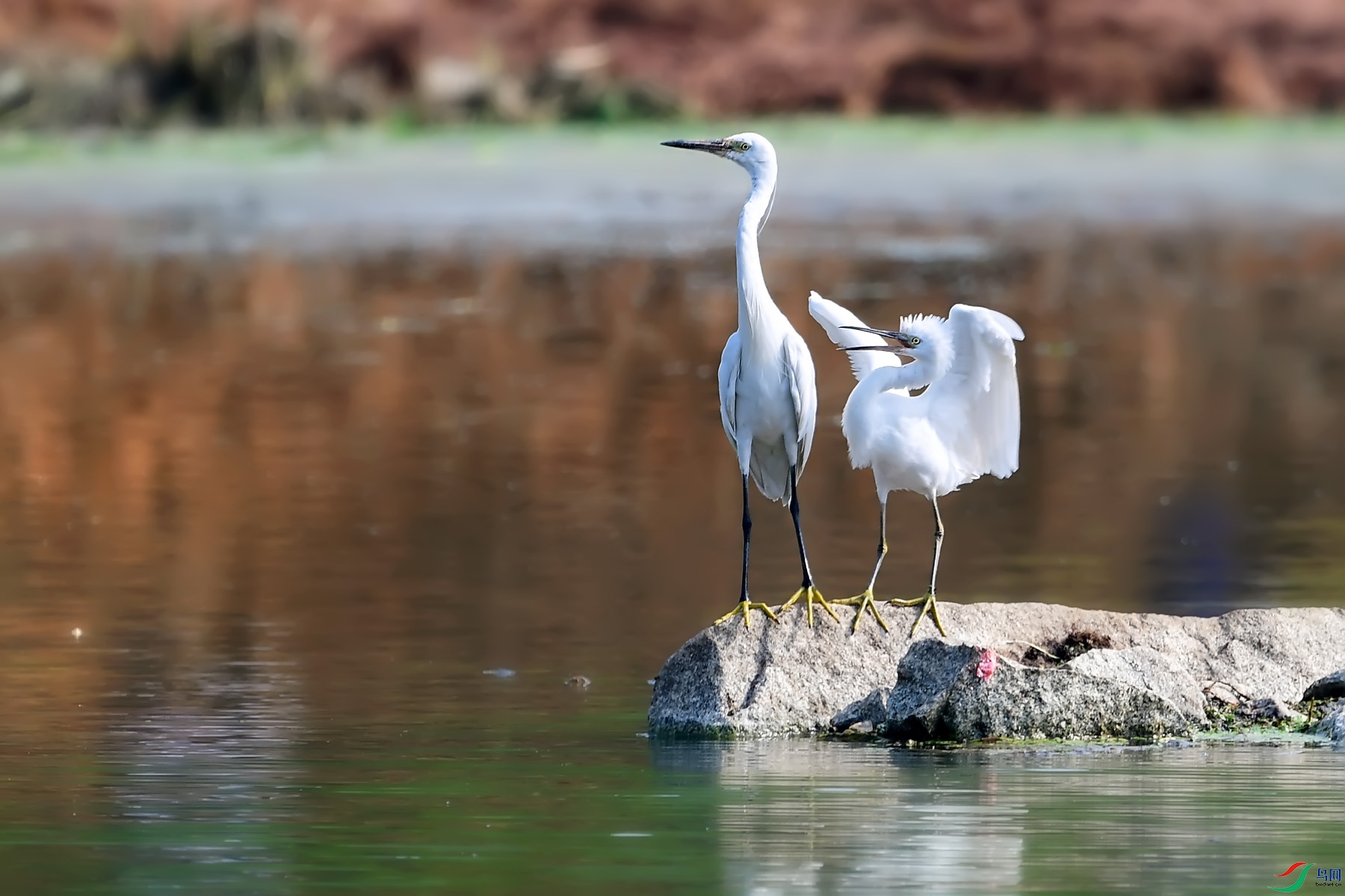 DSC_4870.jpg