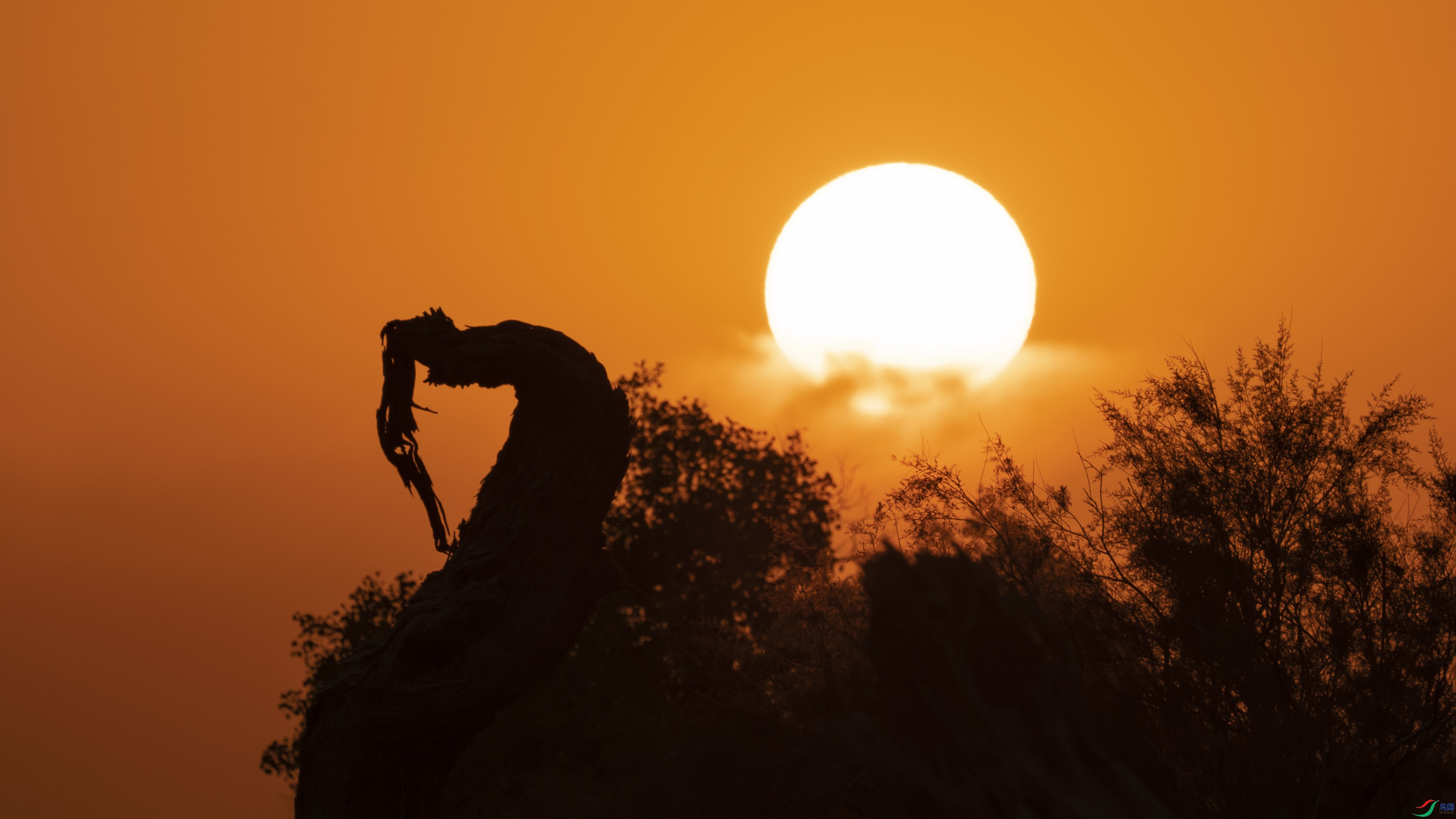 ����б��