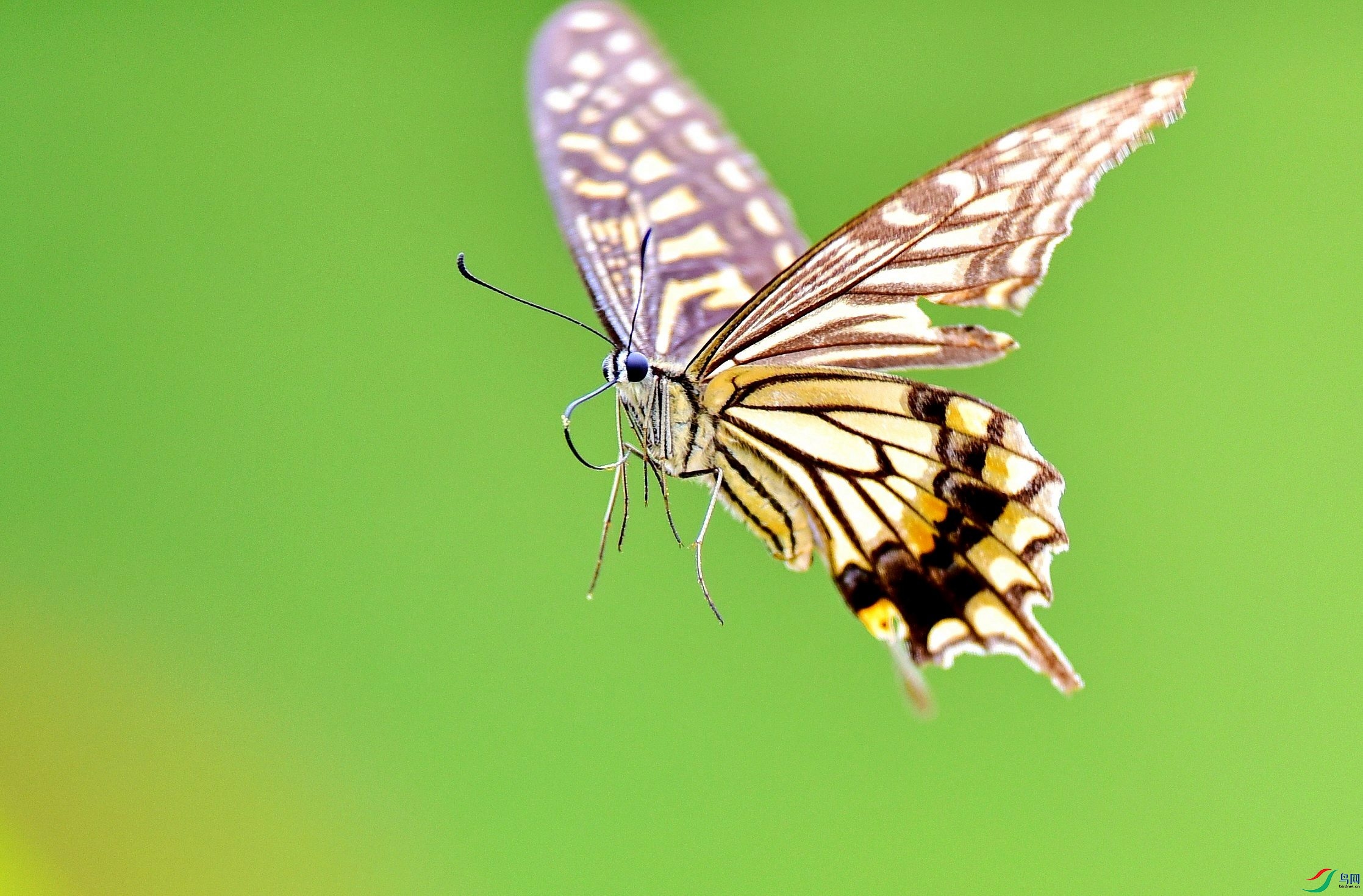 DSC_7661_conew3.jpg