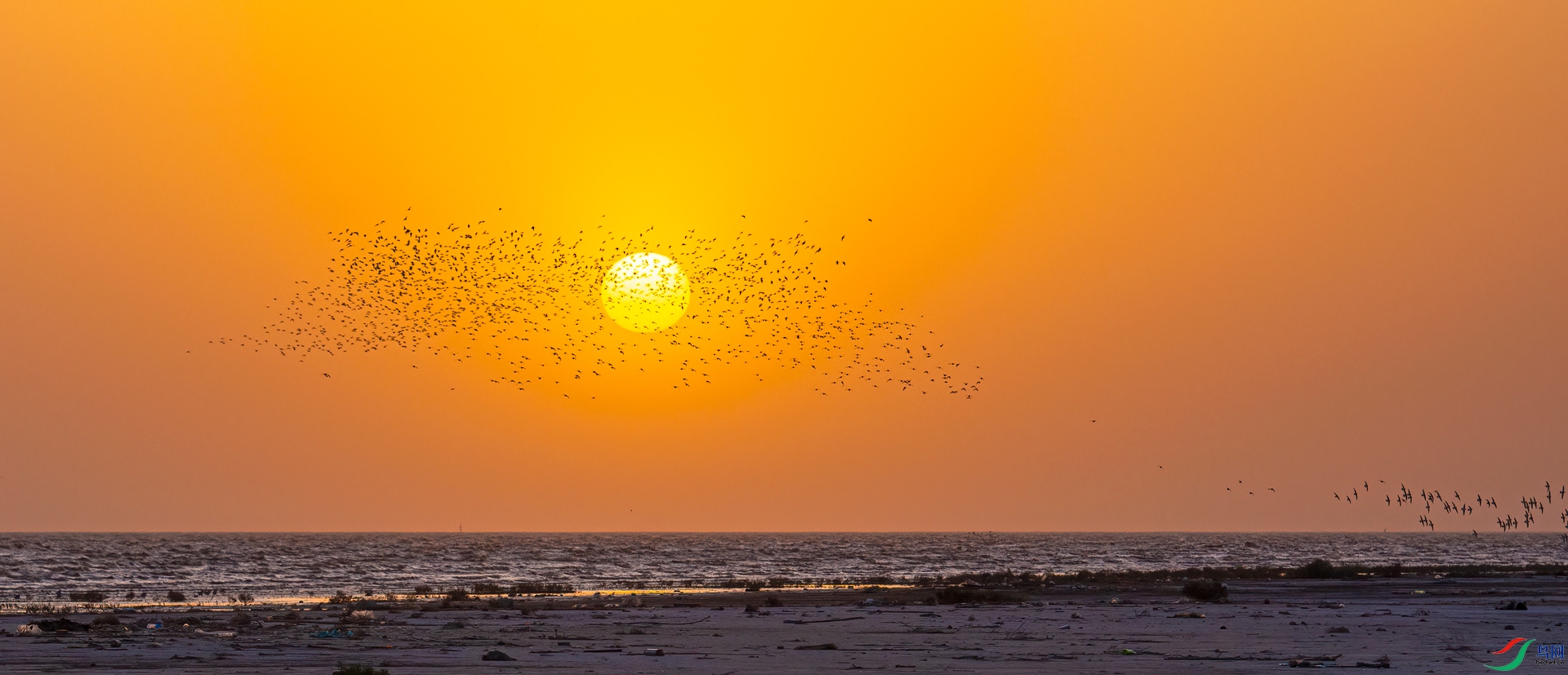 _DSC3579==1w.jpg