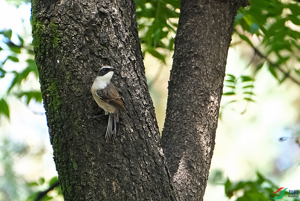 DSCF7899.1.jpg
