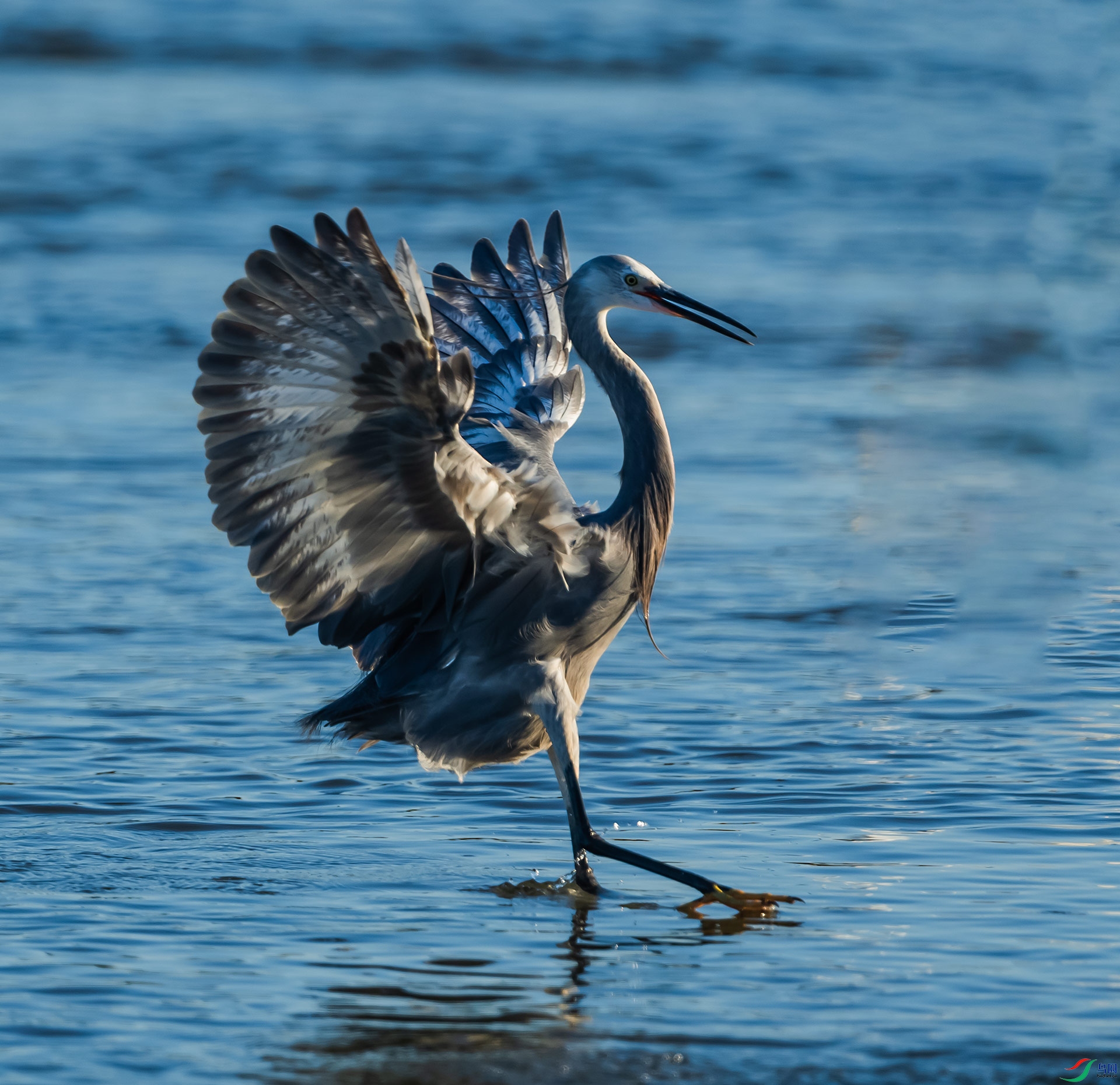 DSC_3436.jpg
