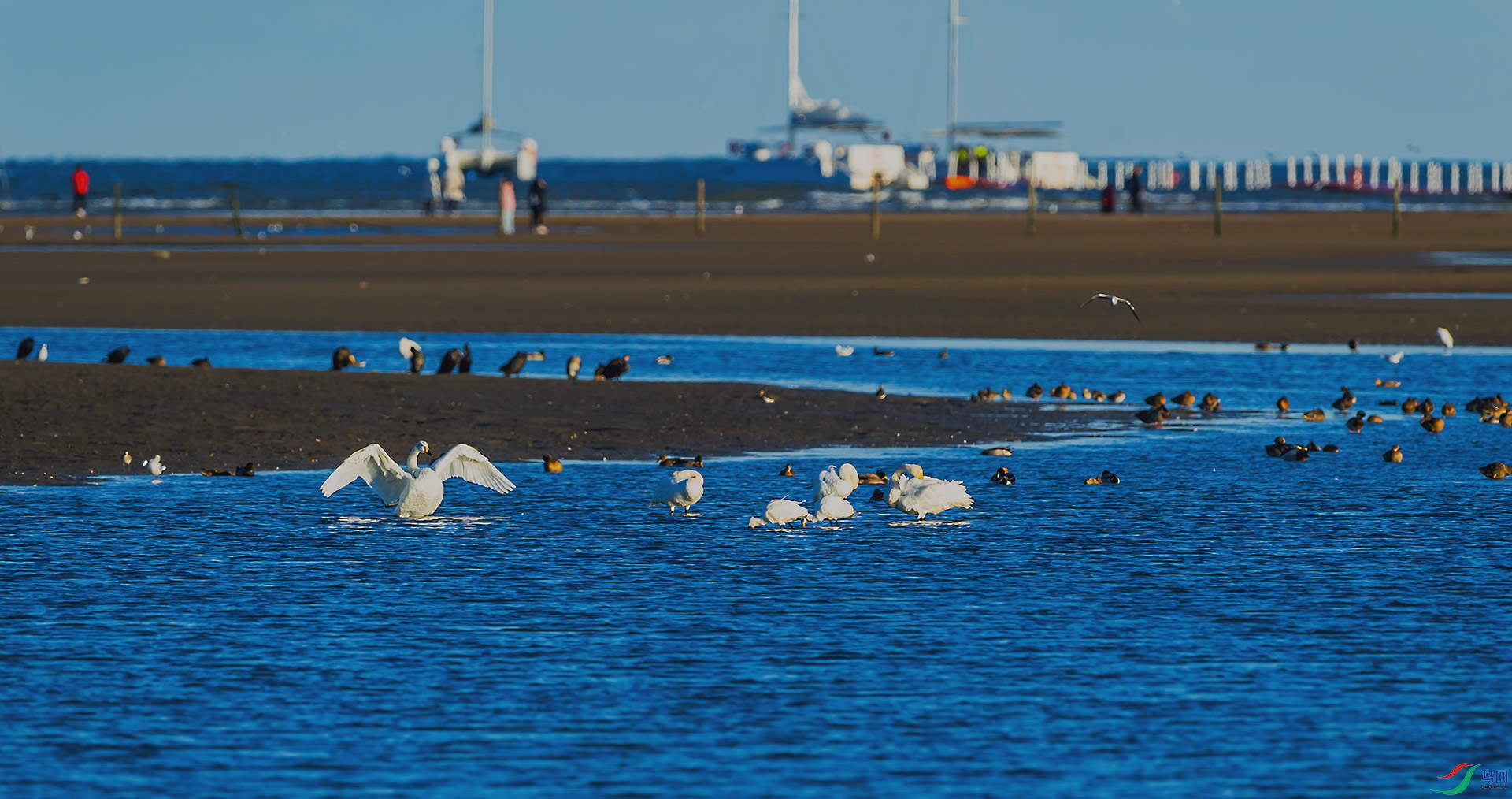 DSC_5187.jpg