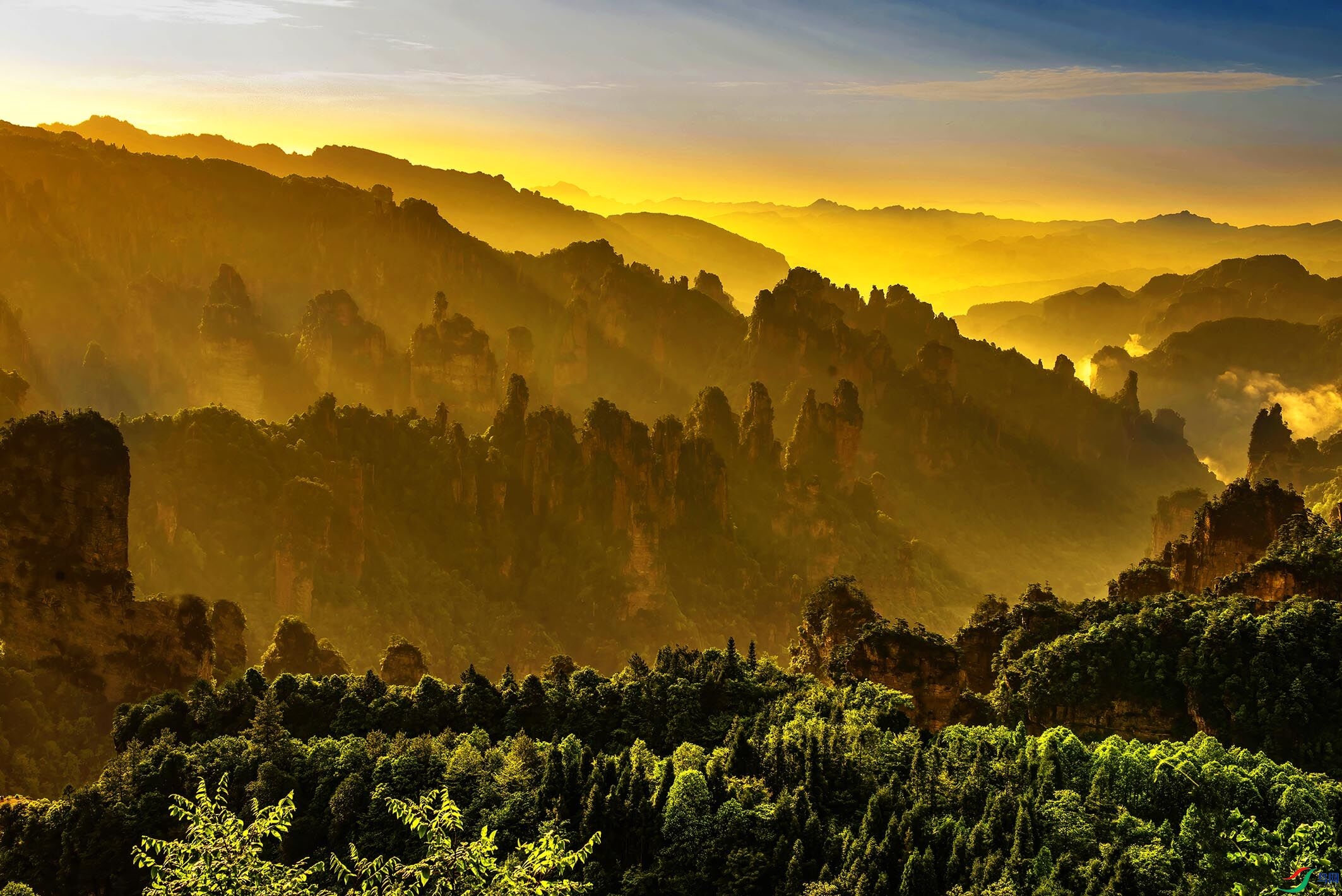 天子山早晨(祝贺老师佳作荣获首页综合精华)