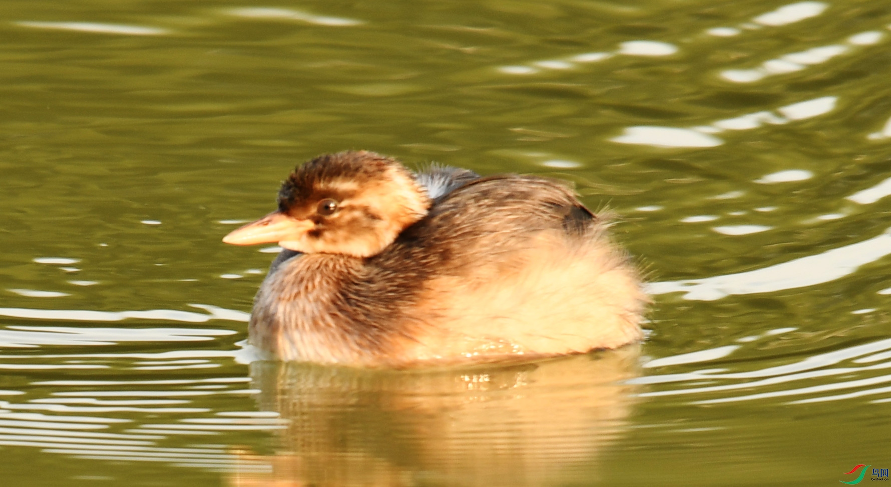 DSC_9584.JPG