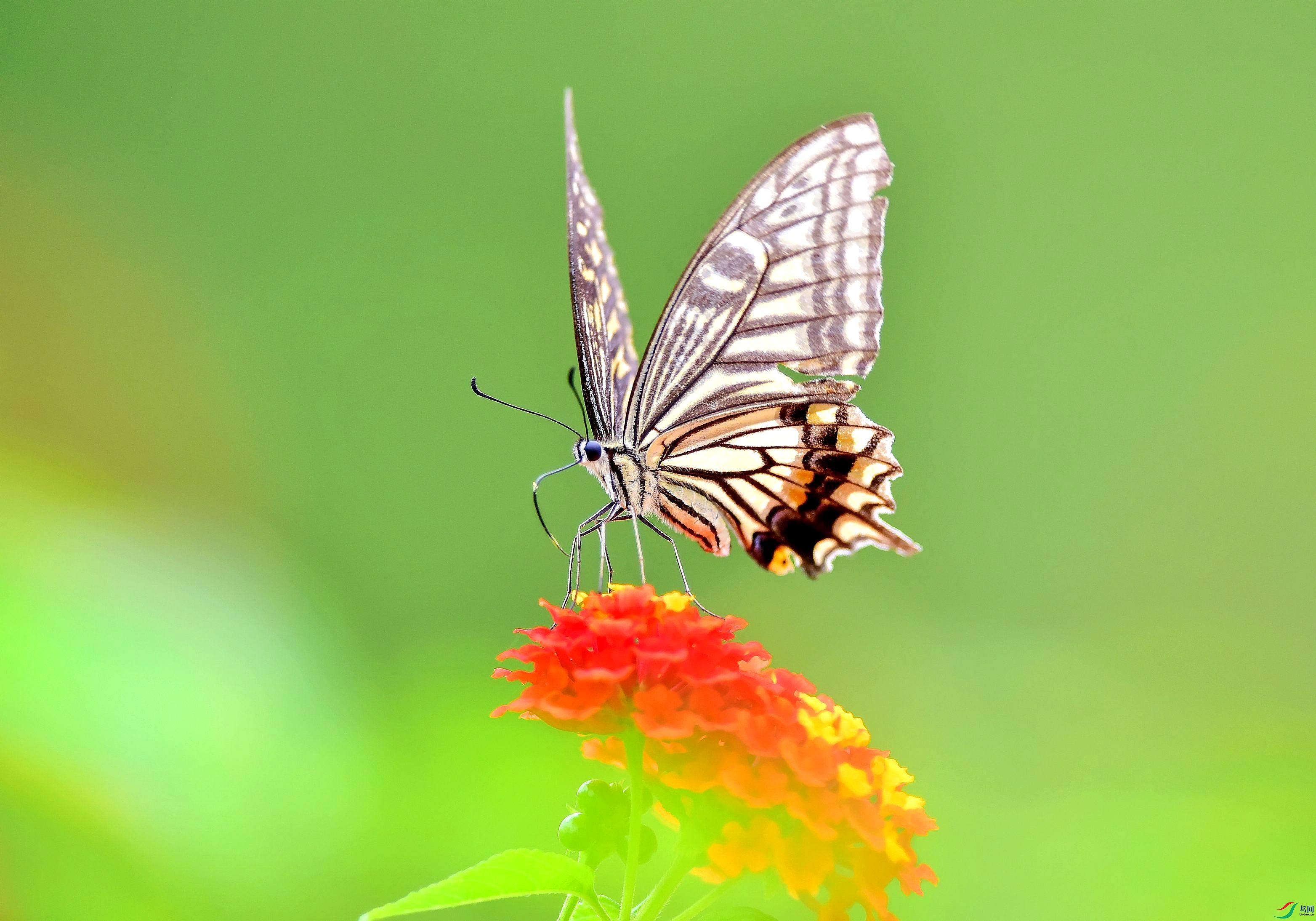DSC_7660_conew5.jpg