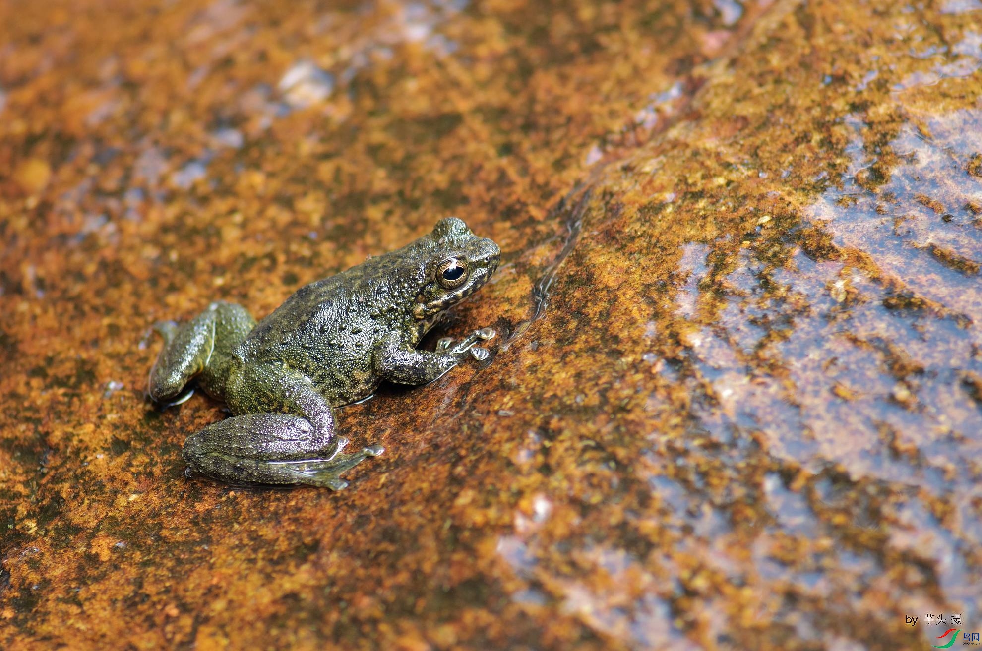 D72_5755.jpg