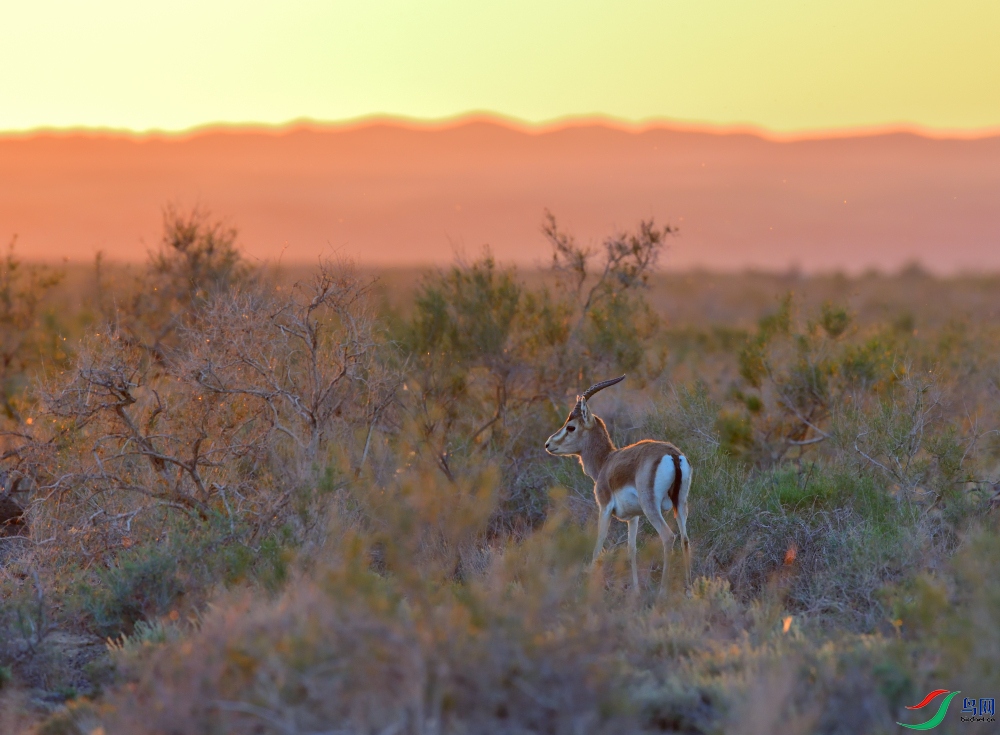 DSC_0192.JPG