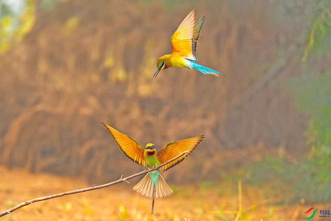 ��DSC_3131.jpg