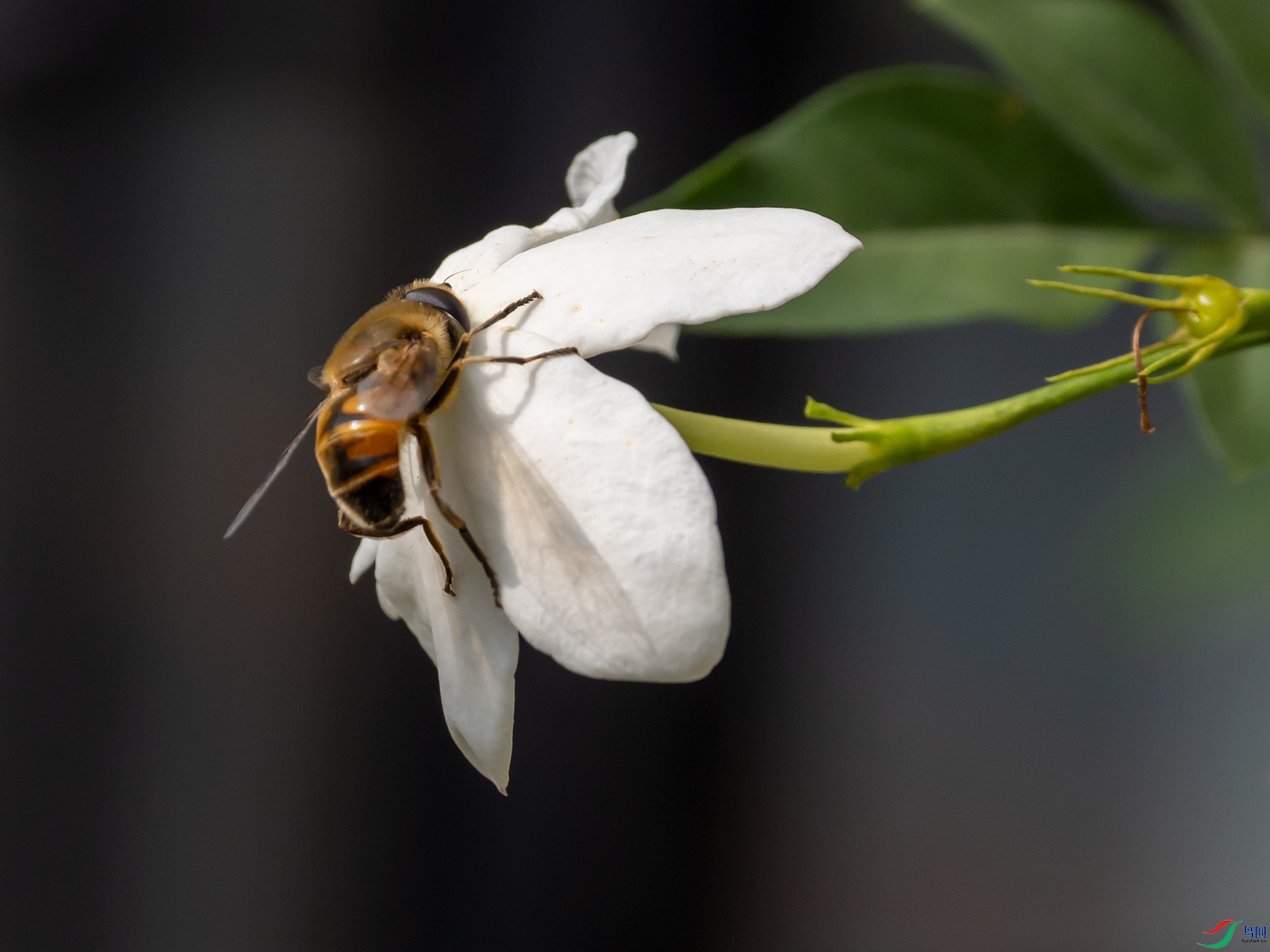 ��ܰ���з�