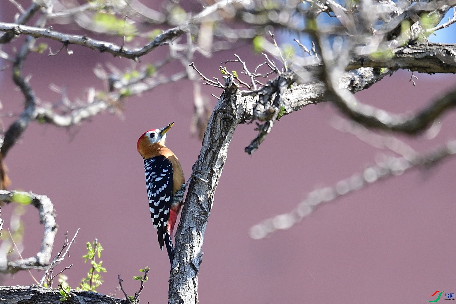 DSC_5916.jpg