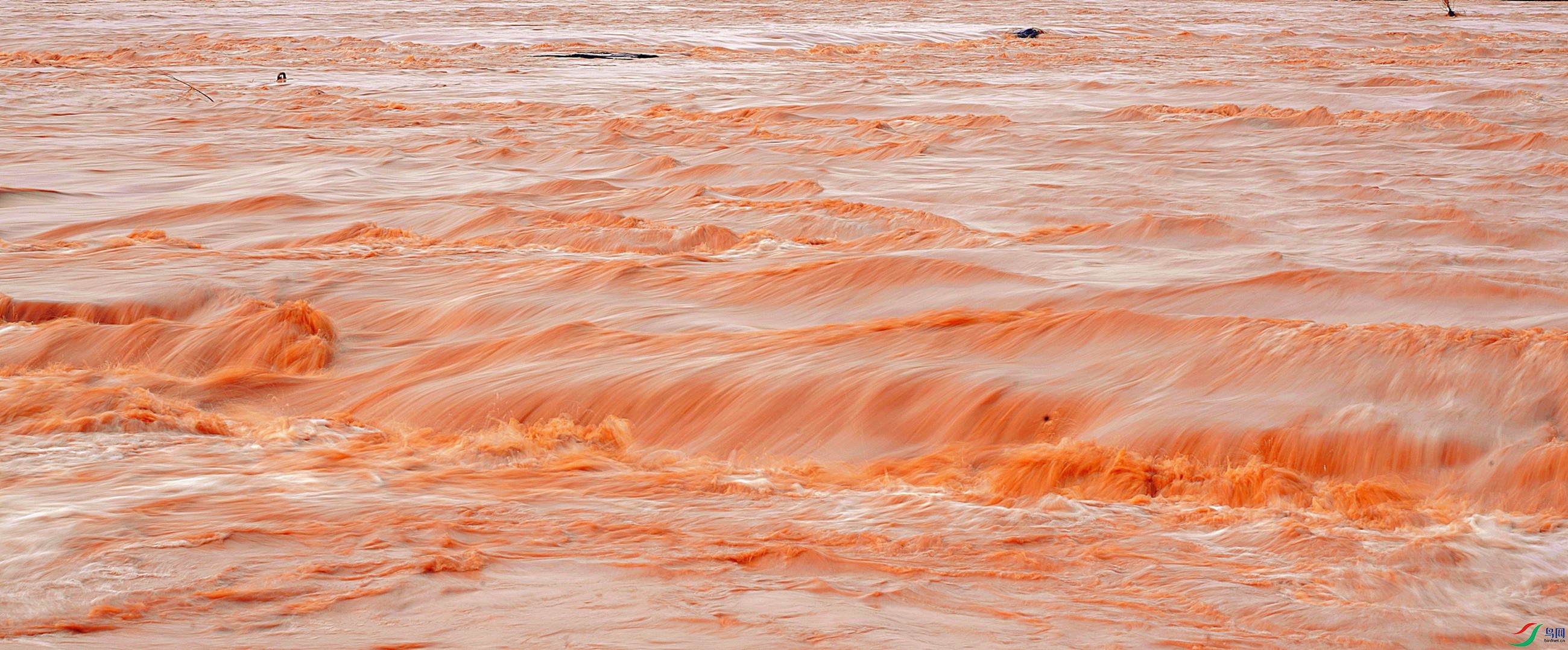 DSC09297 (2)_����.jpg