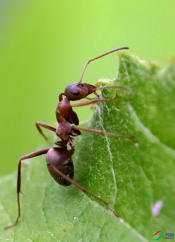 0E8A4823.JPG