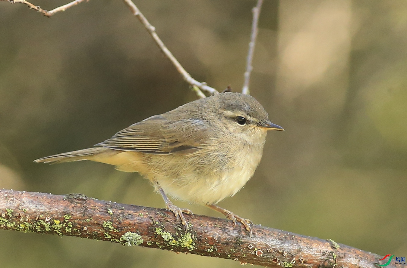 ��� (6)����.jpg