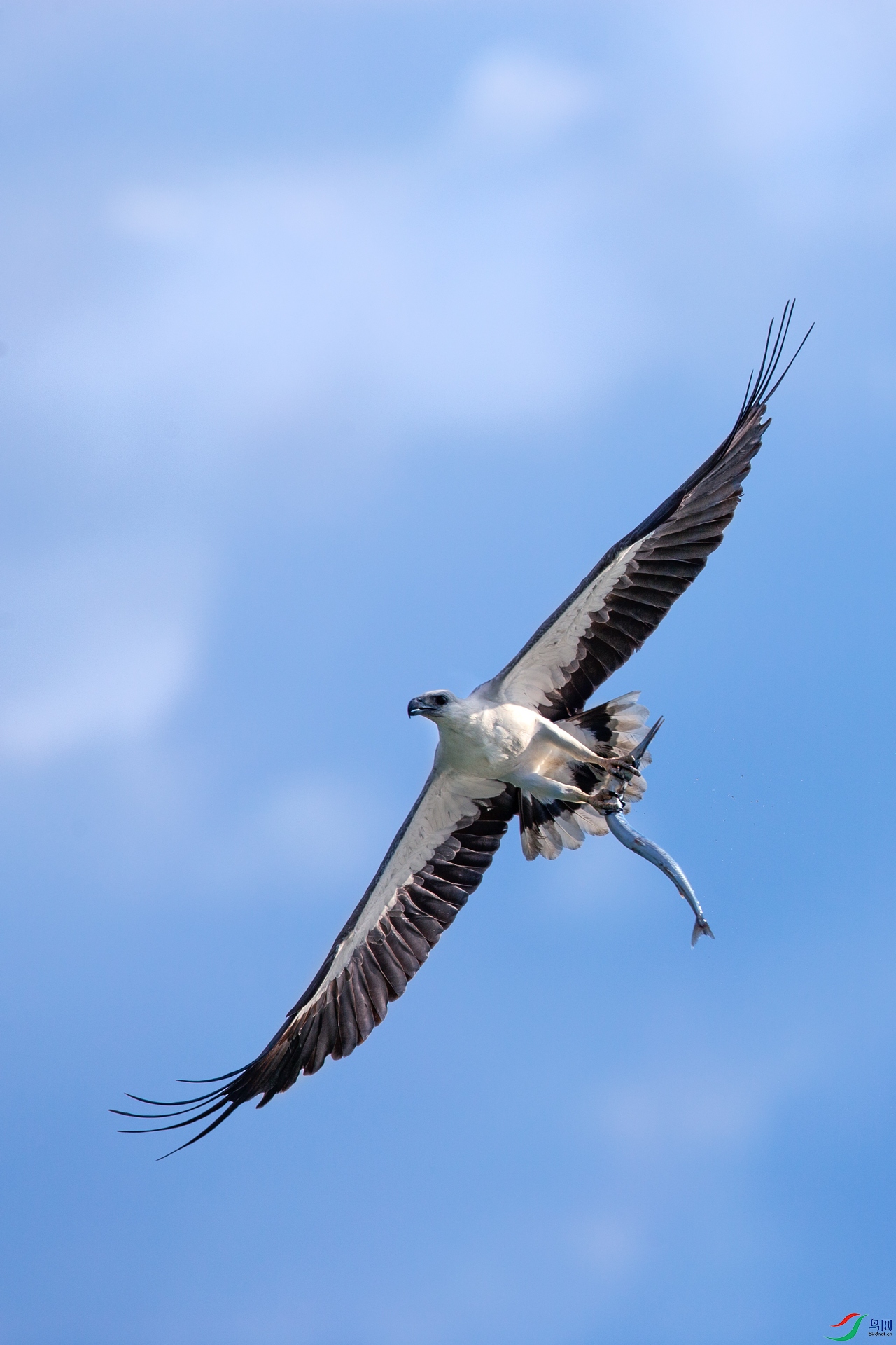 B60O9423-1.jpg