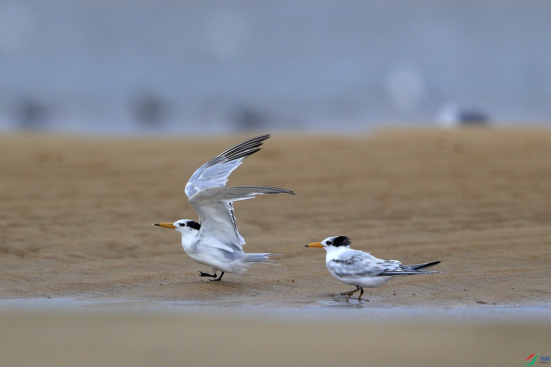 _89I0306����.jpg