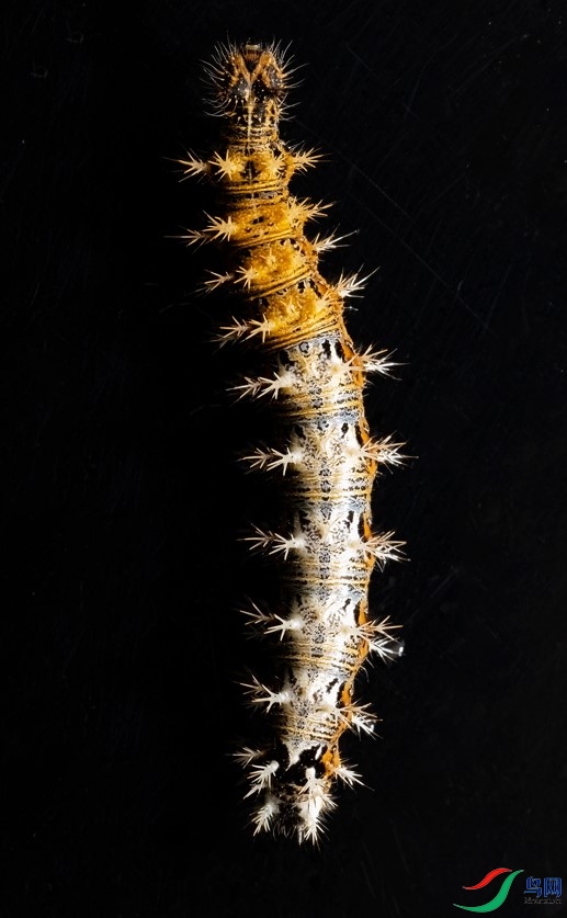 ��Ļ��ͼ 2021-10-19 210529.jpg