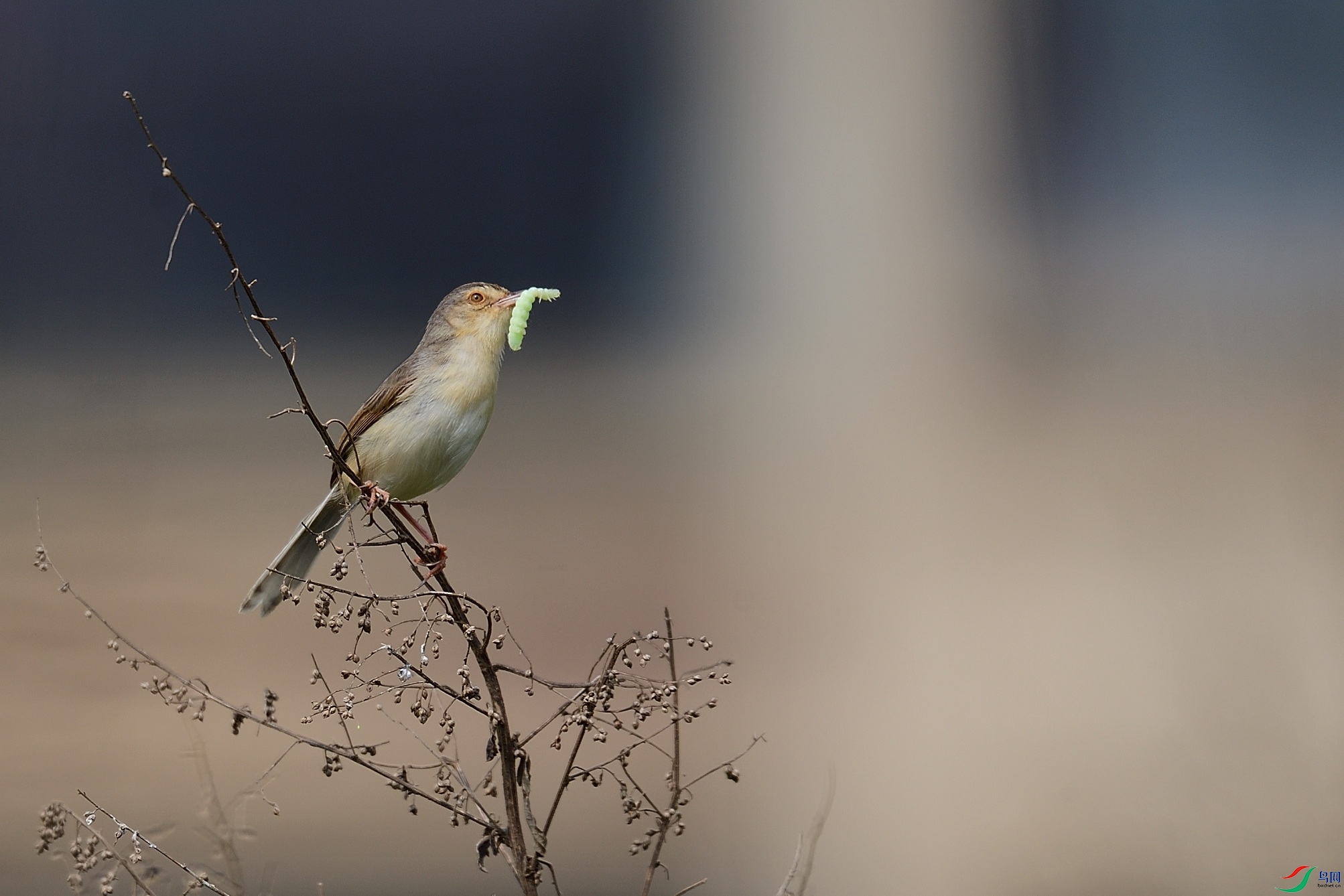 DSC_1829.jpg
