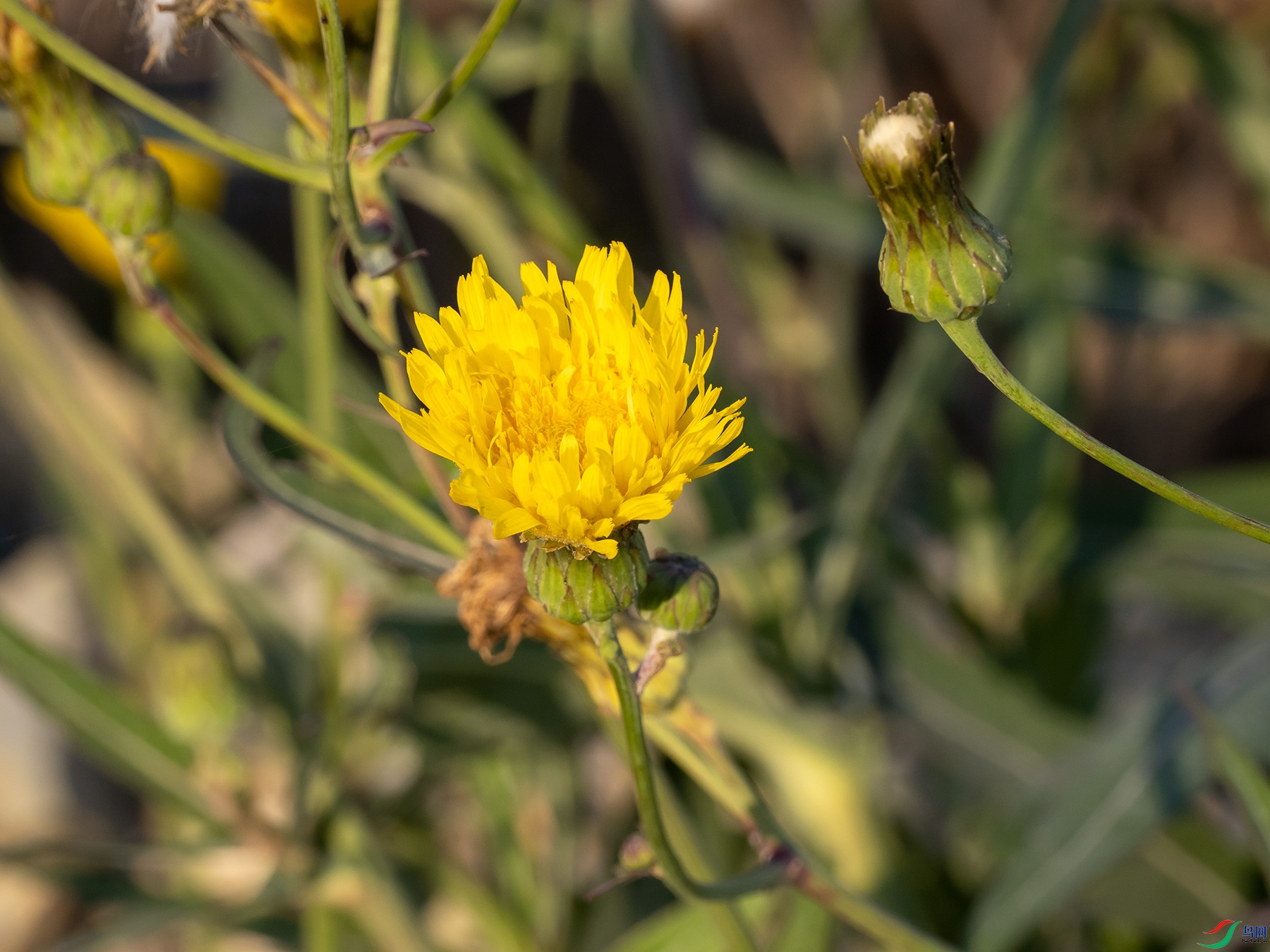 ���ۿ��Ĳ˻�