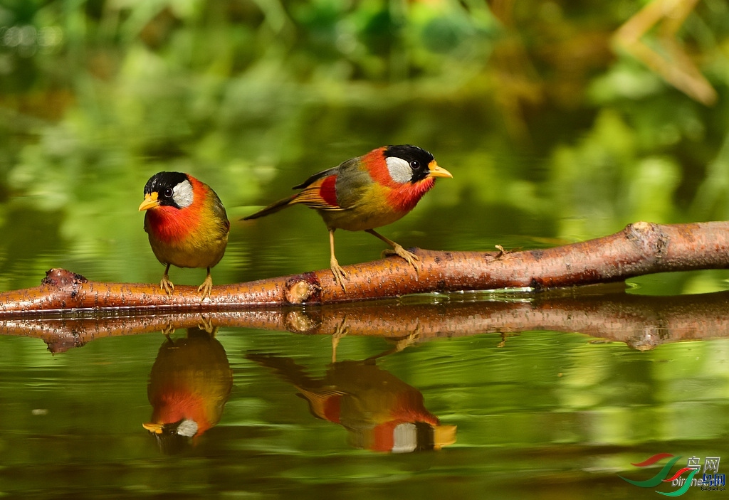 ����  ��ʦ����.jpg