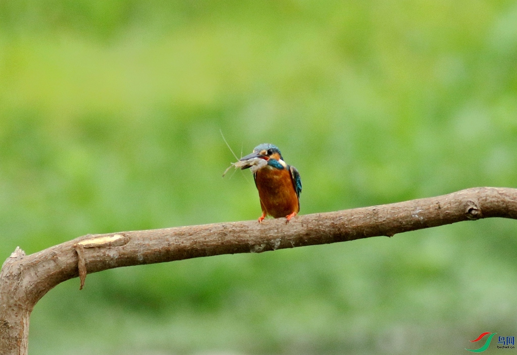 367A3074 (2)_����.jpg