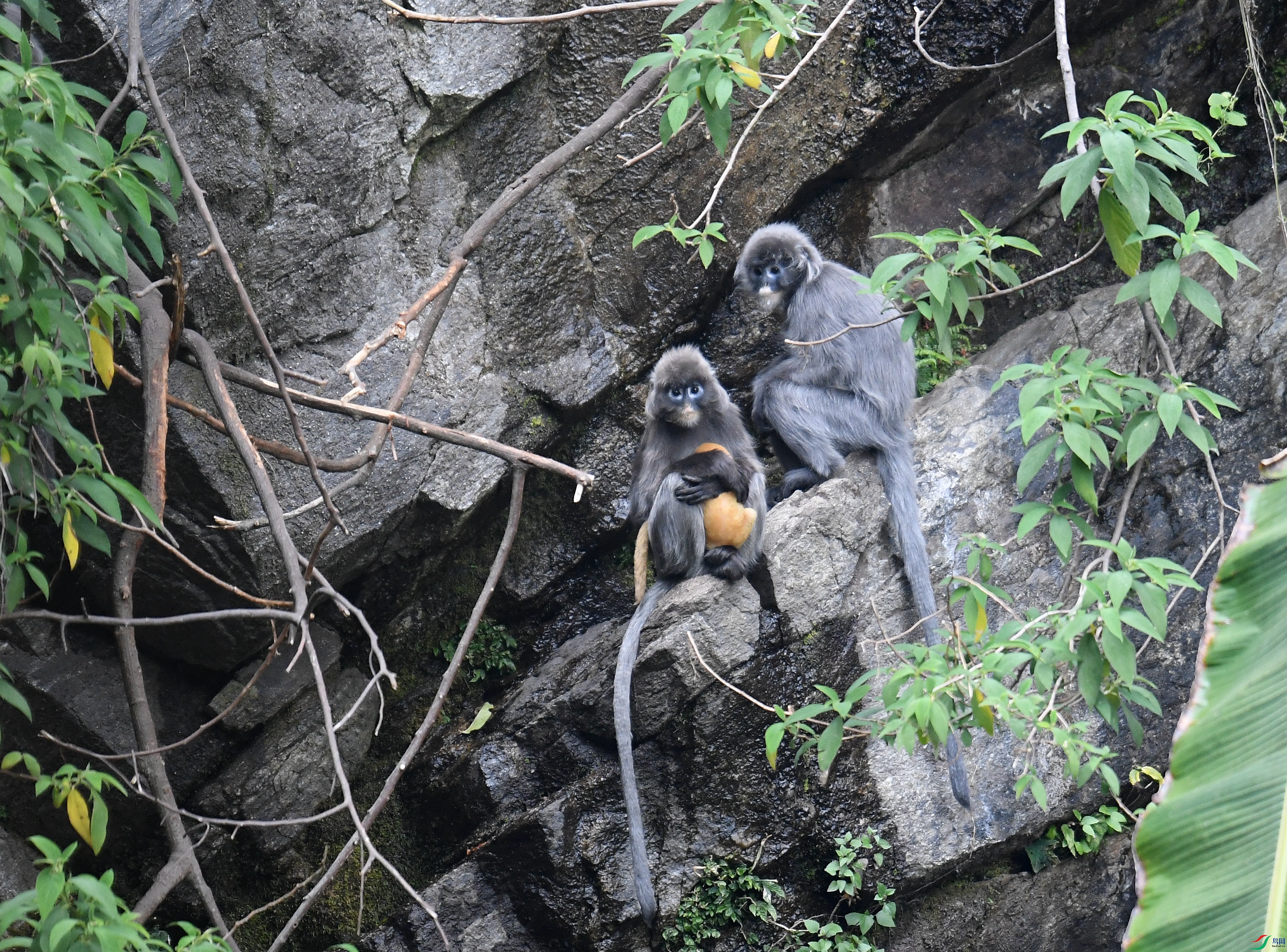 DSC_5396_����.jpg