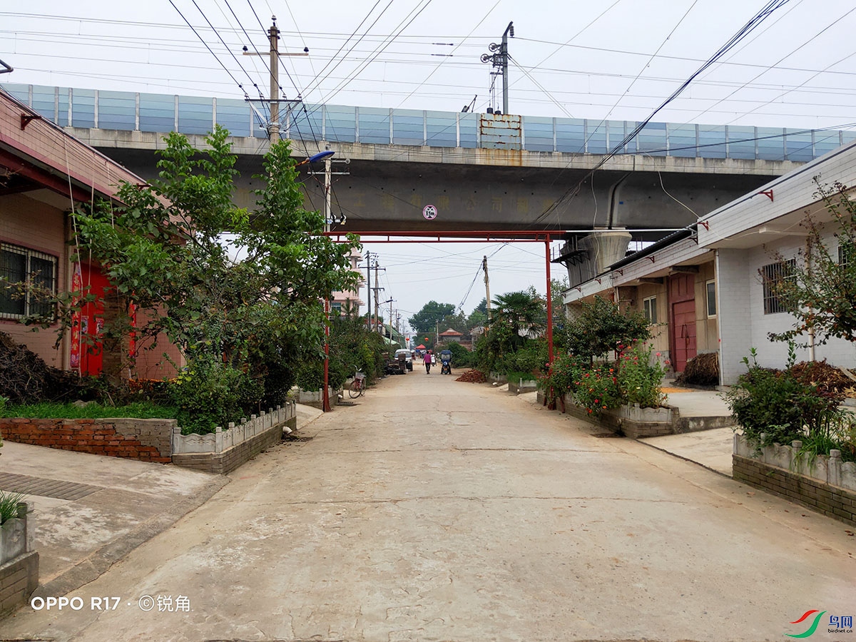 IMG20211003102227.jpg