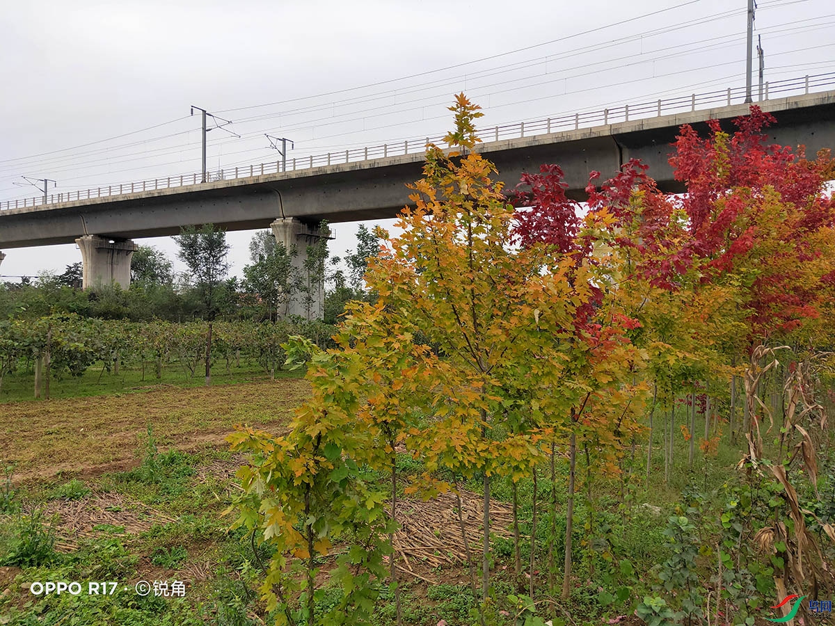 IMG20211014143347.jpg