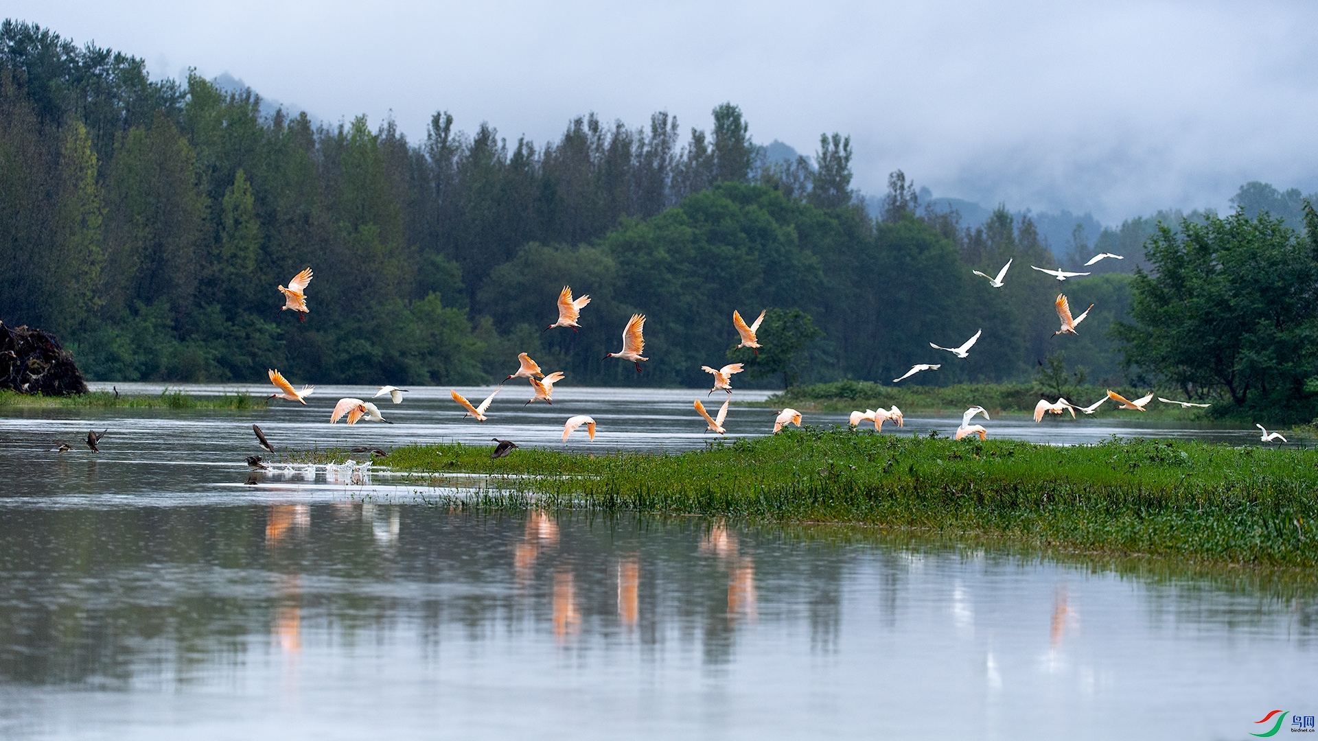 ����ĺ�����������